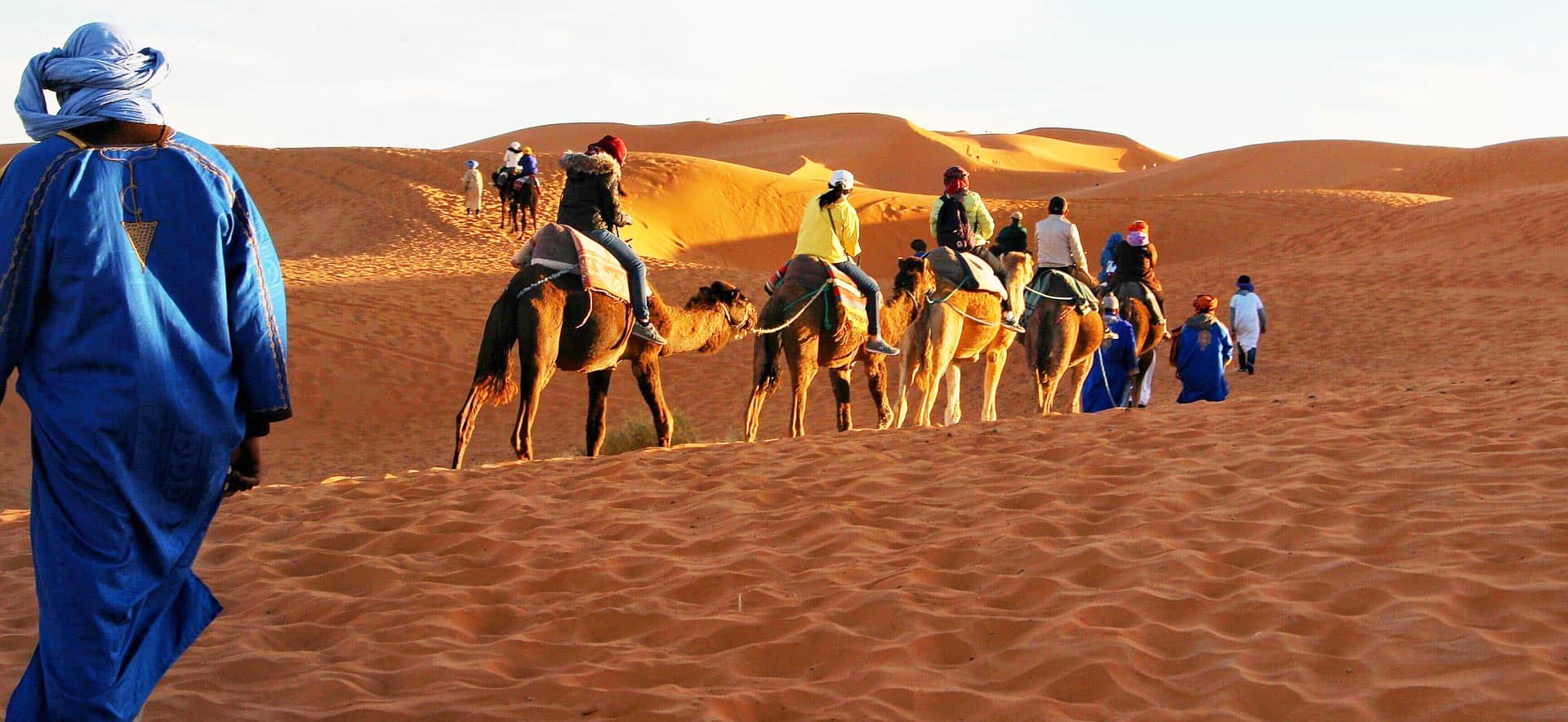 Trekking in cammello nel deserto del Sahara